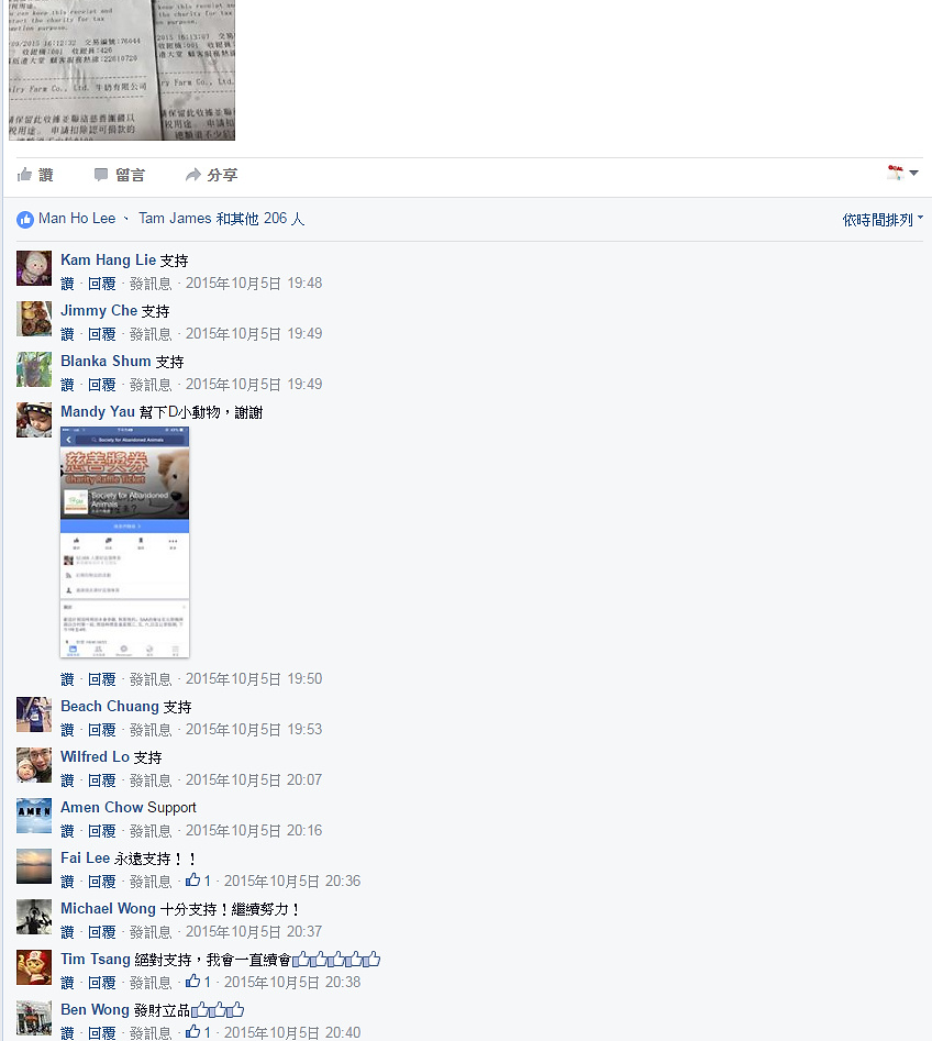 相片 11