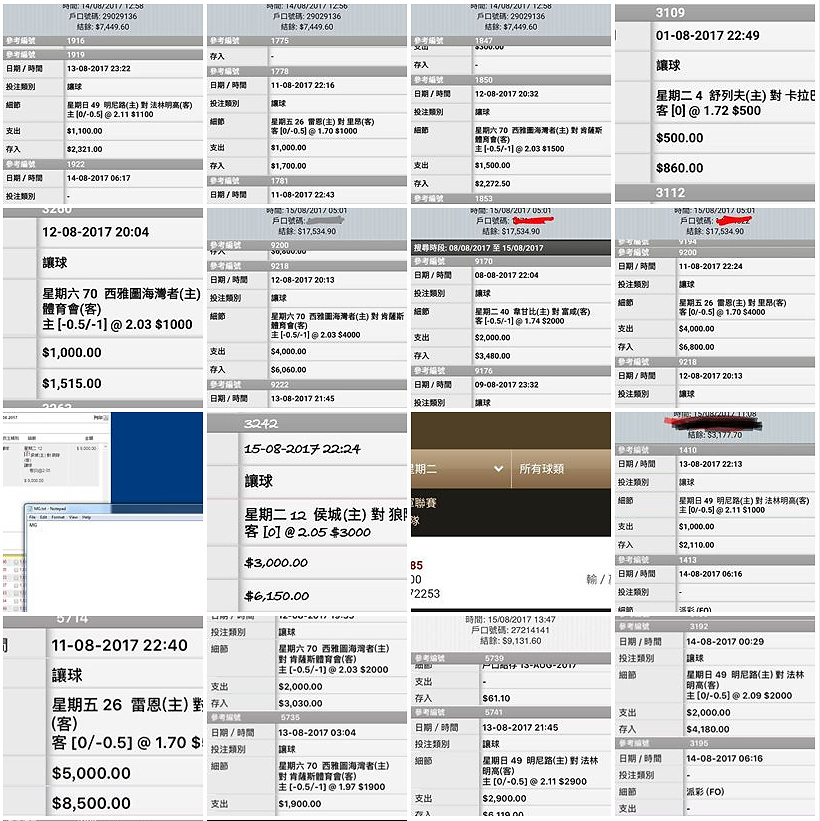 相片 10