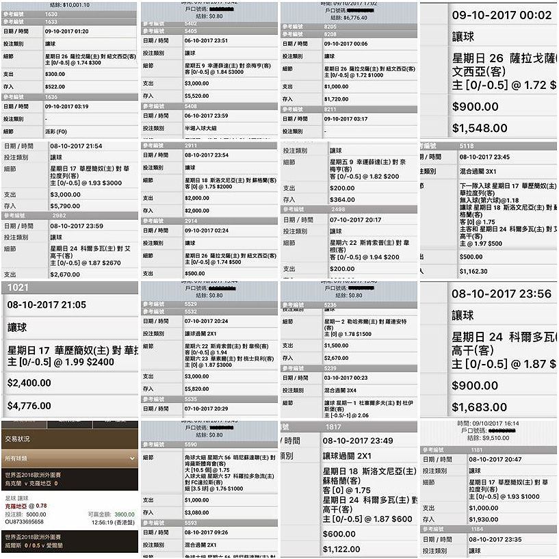 相片 11