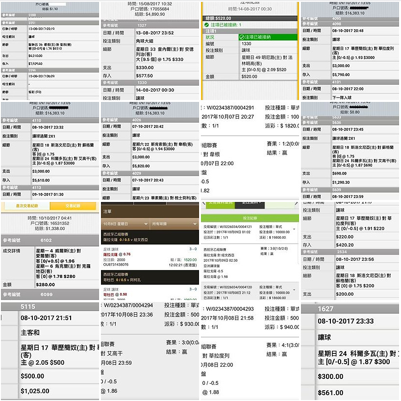 相片 12