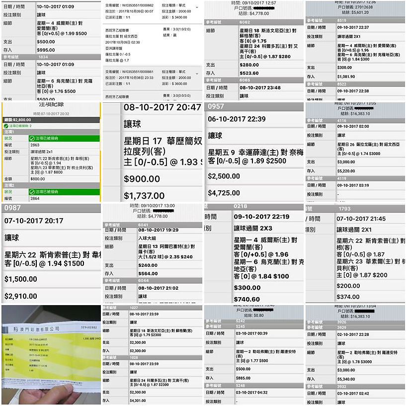 相片 13