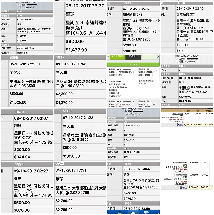 相片 14