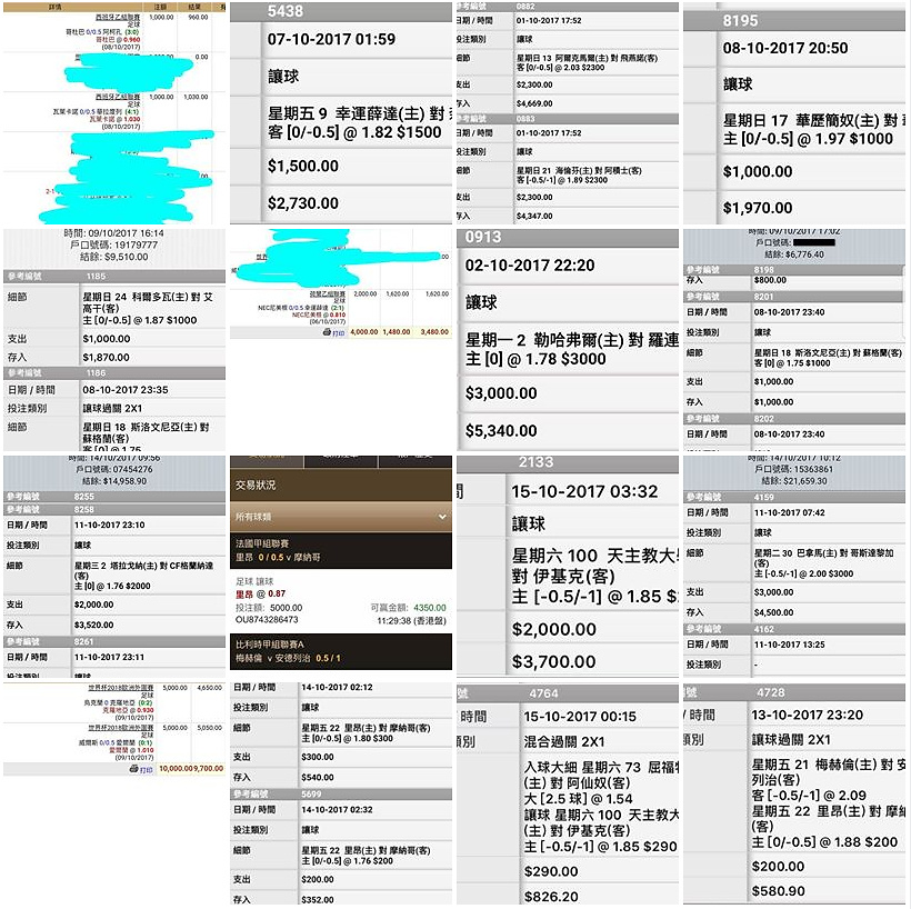 相片 15