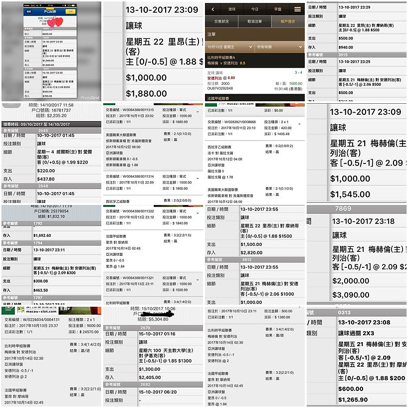相片 16
