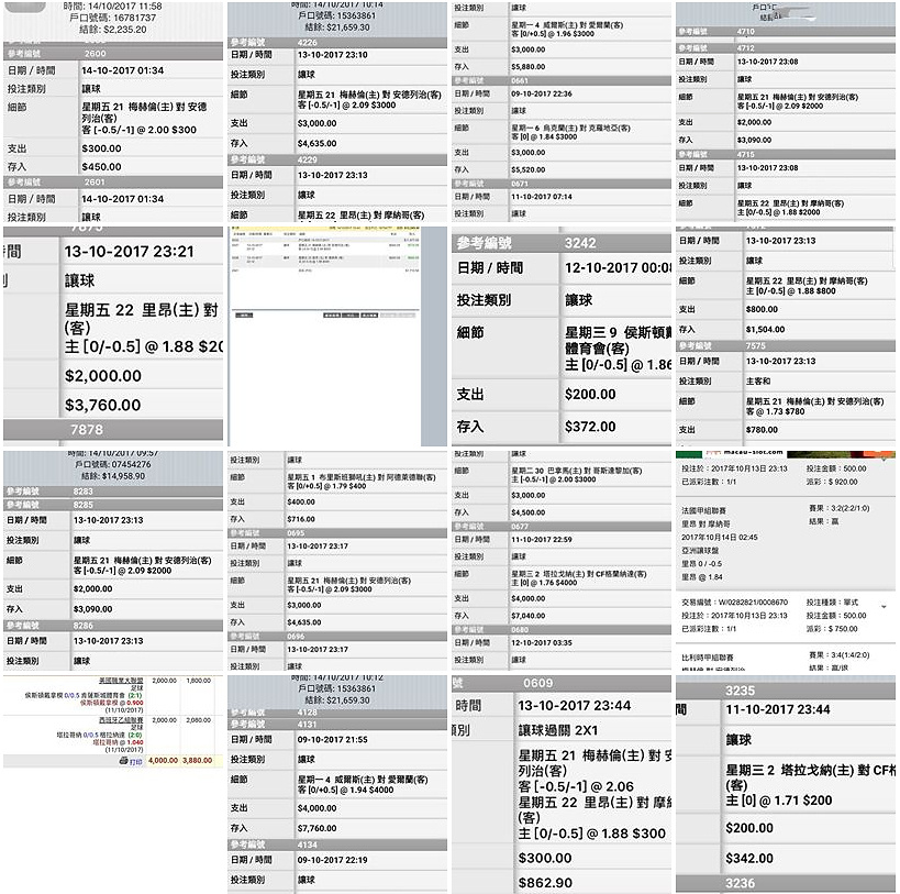 相片 17