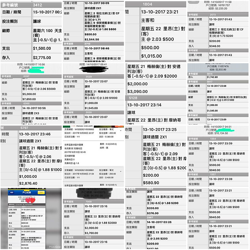相片 19