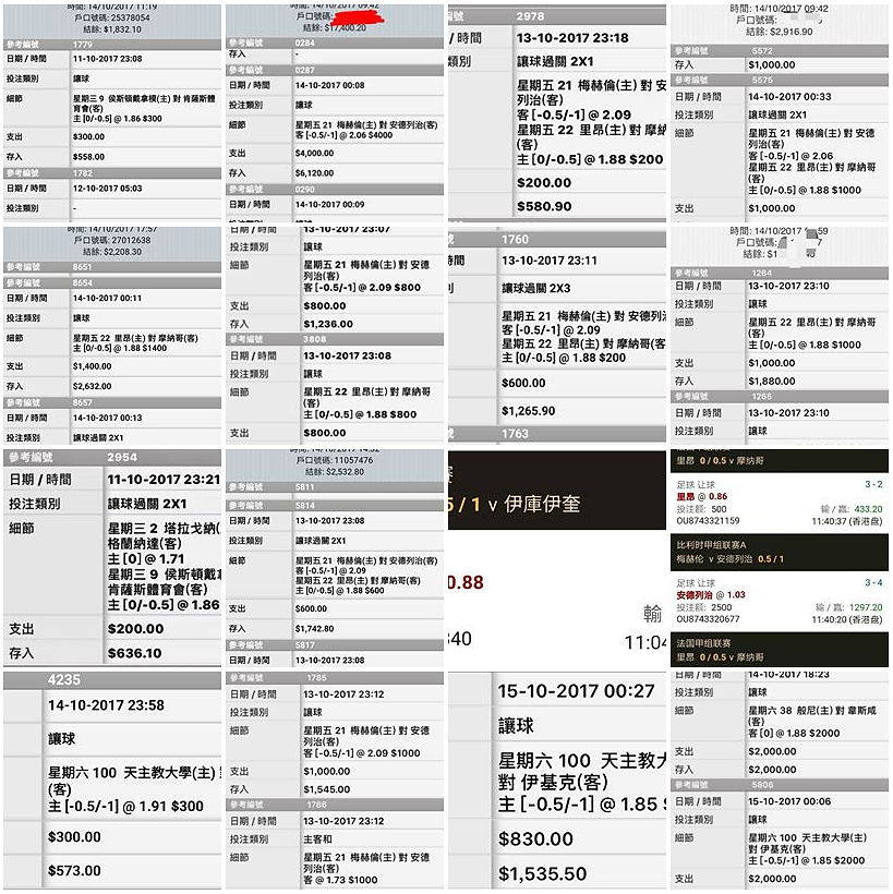 相片 20