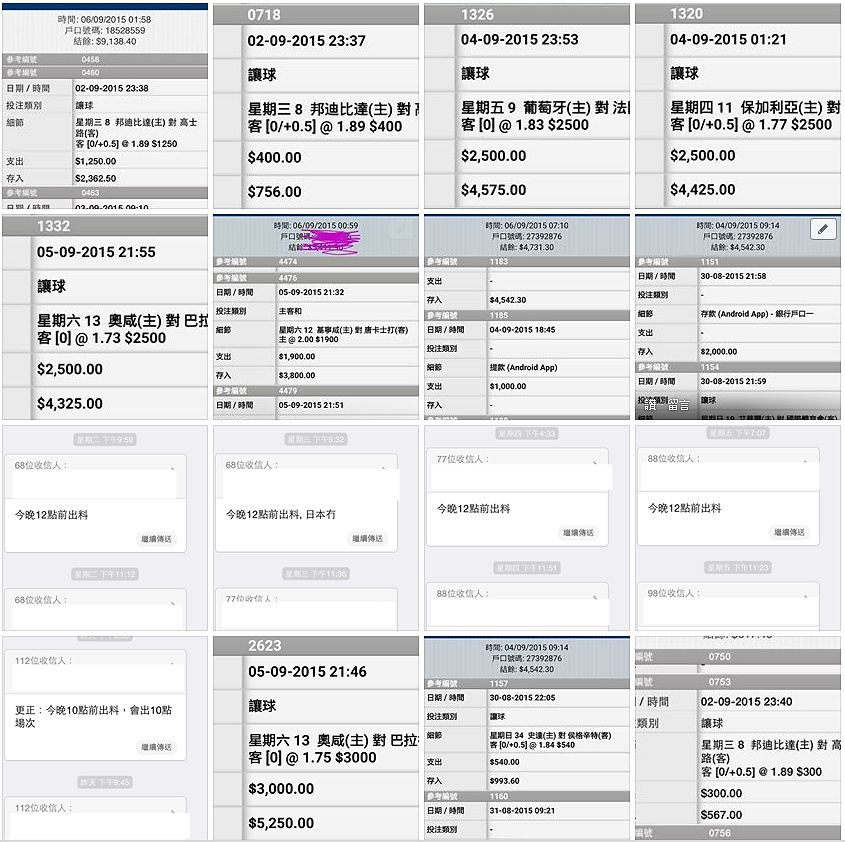 相片 28