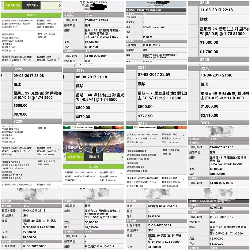 相片 7
