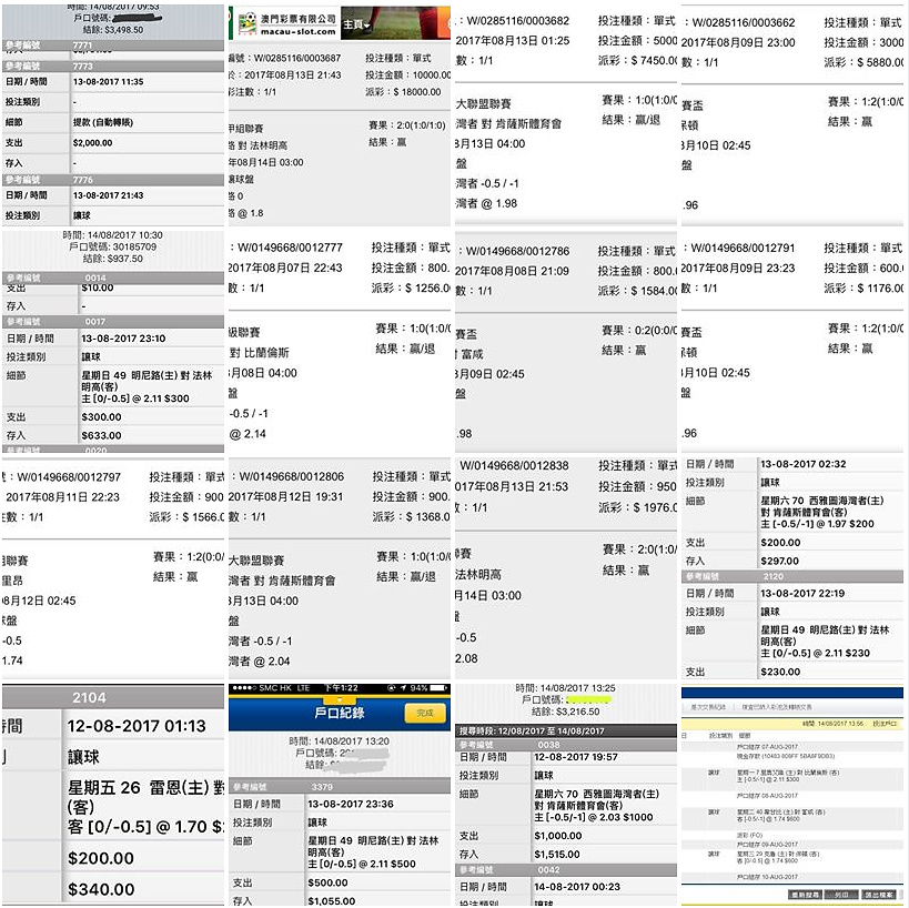 相片 8