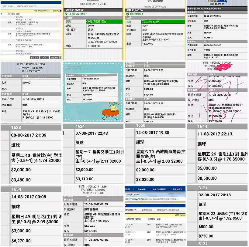 相片 9